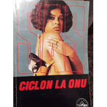 Ciclon la ONU