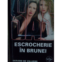 Escrocherie in Brunei