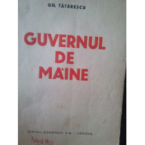 Guvernul de maine