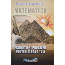 Matematica - Exercitii si probleme pentru clasa a IX-a