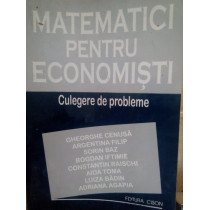 Matematici pentru economisti