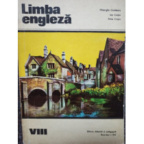 Limba engleza VIII