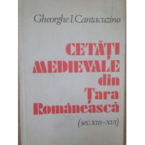 Cetati medievale din Tara Romaneasca