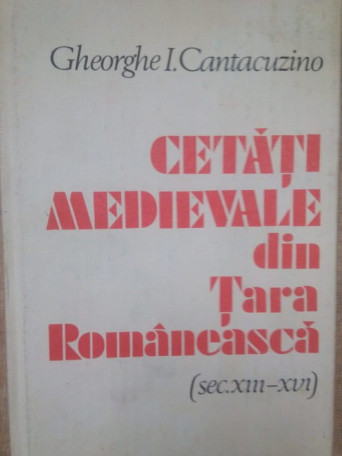 Cetati medievale din Tara Romaneasca