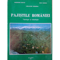 Pajistile Romaniei. Tipologie si tehnologie