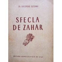 Sfecla de zahar