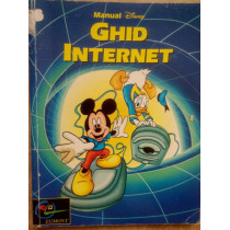 Ghid internet