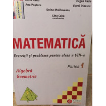 Matematica - Exercitii si probleme pentru clasa a VIIIa, partea 1