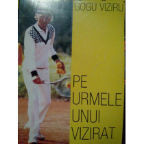 Pe urmele unui vizirat