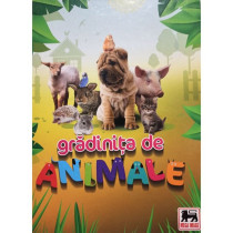 Gradinita de animale