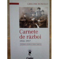 Carnete de razboi 19161917