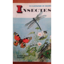 Insectes