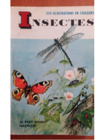 Insectes