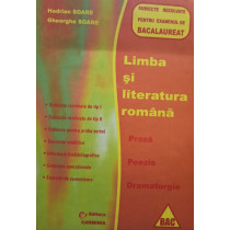 Limba si literatura romana - Subiecte rezolvate pentru examentul de bacalaureat