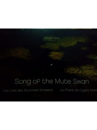 Song of the Mute Swan