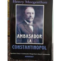 Ambasador la Constantinopol