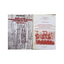 Continuitate si schimbare: integrarea minoritatilor nationale din Bucovina istorica in Regatul Romaniei Mari 1918 - 1940, 2 vol.