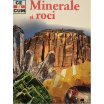 Minerale si roci