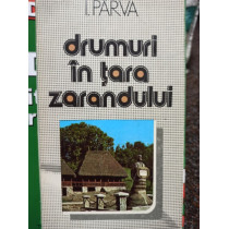 Drumuri in tara zarandului