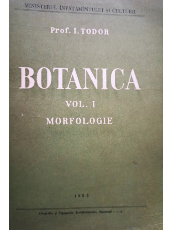 Morfologie, vol. 1