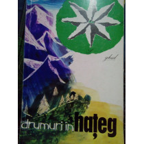 Drumuri in Hateg