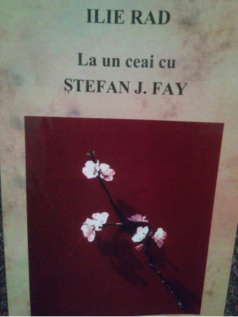 La un ceai cu Stefan J. Fay