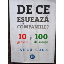 De ce esueaza companiile? 10 greseli si 100 de solutii