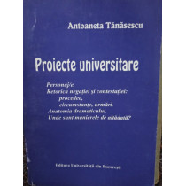 Proiecte universitare