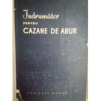 Indrumator pentru cazane de abur