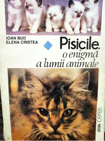 Pisicile, o enigma a lumii animale