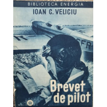 Brevet de pilot