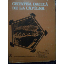 Cetatea Dacica de la Capilna