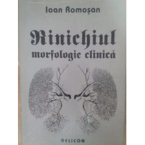 Rinichiul morfologie clinica