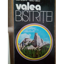 Valea Bistritei