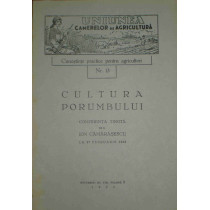 Cultura porumbului