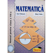 Matematica - Manual pentru clasa a VIIa