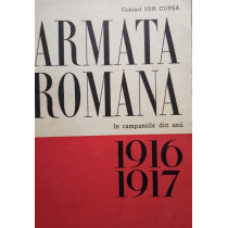 Armata Romana in campaniile din anii 1916 1917