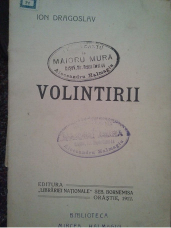 Volintirii