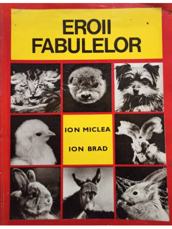 Ion Miclea - Eroii fabulelor - 1971 - Brosata