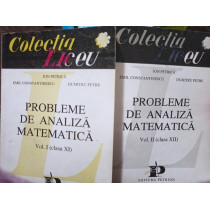 Probleme de analiza matematica clasa XI, 2 vol.