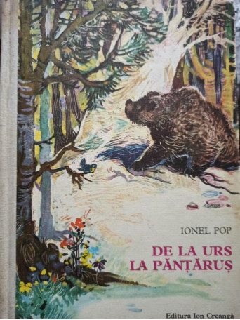 De la urs la pantarus