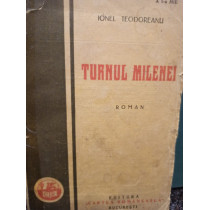 Turnul Milenei (semnatura autor)