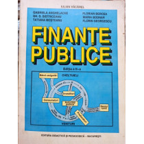 Iulian Vacarel - Finante publice, editia a II-a