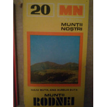 Muntii Rodnei