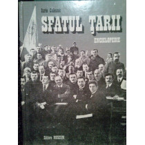 Sfatul tarii