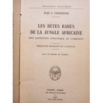 Les betes rares de la jungle Africaine