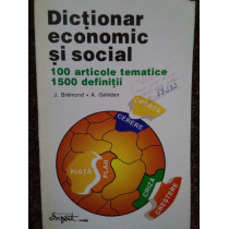 Dictionar economic si social. 100 articole tematice, 1500 definitii