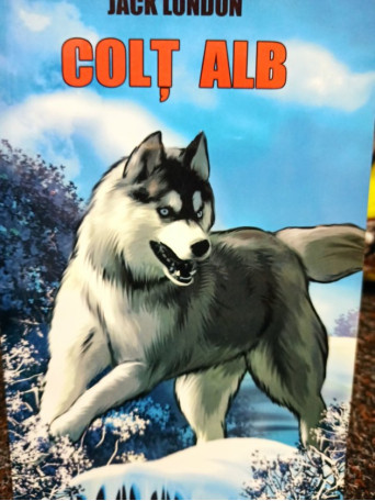 Colt alb