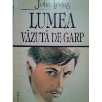 Lumea vazuta de Garp