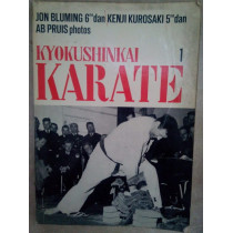 Kyokushinkai karate 1